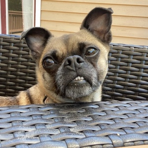 Fundraising Page: Lauren Sprouse